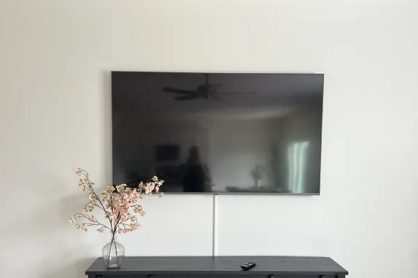 TV mounting services in Edmonds, WA