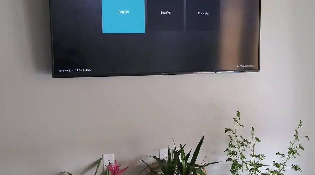 Elevate Your Home Entertainment with Expert TV Mounting in Cumming, GA