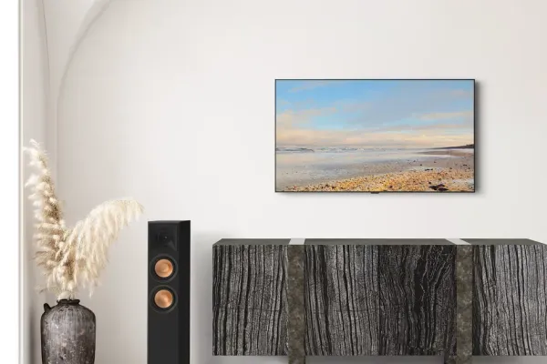 TV Mounting Services in Peachtree City, Georgia